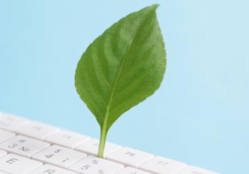 https://new.harvard-deusto.com/sites/default/files/styles/article_normal/public/2024-04/foto-influjo-palabra-verde.jpg?itok=SWywgtg8&x=1750435026