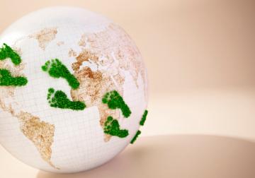 https://new.harvard-deusto.com/sites/default/files/styles/article_normal/public/2024-07/foto-estrategia-ecosistema.jpg?itok=jIh2L3cw&x=1750305107